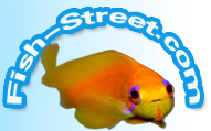 Fish-street Promo Codes 